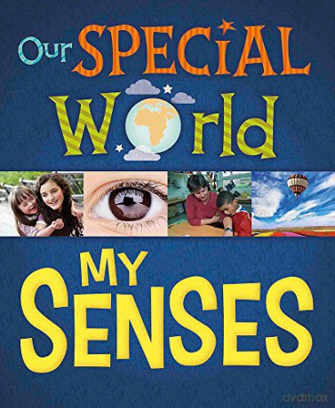 My Senses (Our Special World) - Liz Lennon [KSIĄŻKA]