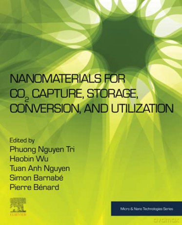 Nanomaterials for CO2 Capture, Storage, Conversion and Utilization (Micro and Nano Technologies) - Phuong Nguyen Tri [KSIĄŻKA]