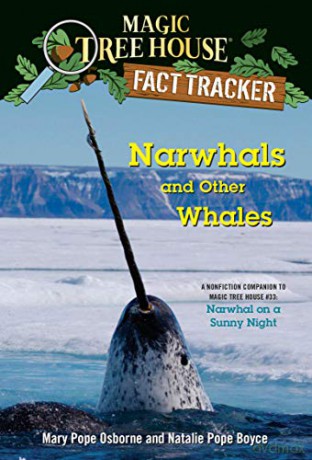 Narwhals and Other Whales: A Nonfiction Companion to Magic Tree House #33: Narwhal on a Sunny Night (MTH Fact Tracker): 42 - Mary Pope Osborne [KSIĄŻKA]