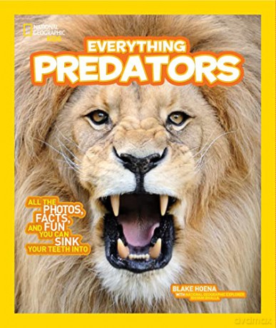 National Geographic Kids Everything Predators: All the Photos, Facts, and Fun You Can Sink Your Teeth Into - National Geographic Kids [KSIĄŻKA]