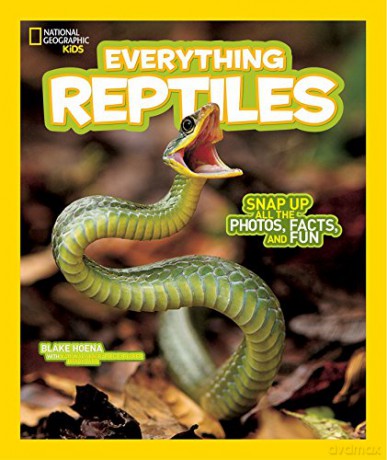 National Geographic Kids Everything Reptiles: Snap Up All the Photos, Facts, and Fun - National Geographic Kids [KSIĄŻKA]