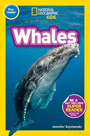 National Geographic Readers: Whales (Pre-Reader) - Jennifer Szymanski [KSIĄŻKA]