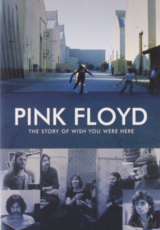 Pink Floyd: The Story Of Wish You Were Here [DVD]