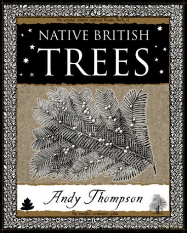 Native British Trees - Andy Thompson [KSIĄŻKA]