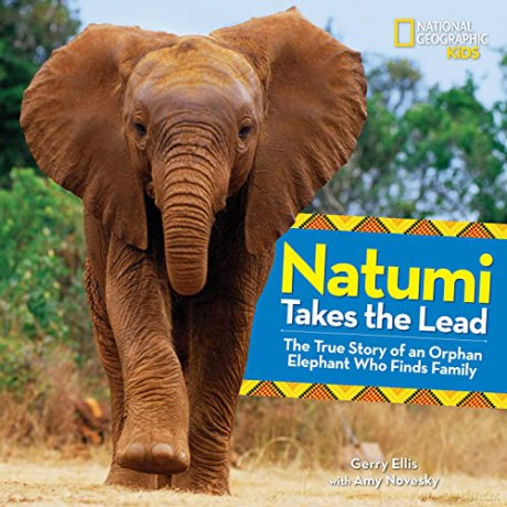 Natumi Takes the Lead: The True Story of an Orphan Elephant Who Finds Family (Picture Books) - Gerry Ellis with Amy Novesky [KSIĄŻKA]