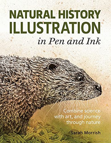 Natural History Illustration in Pen and Ink: Combine science with art, and journey through nature - Sarah Morrish [KSIĄŻKA]