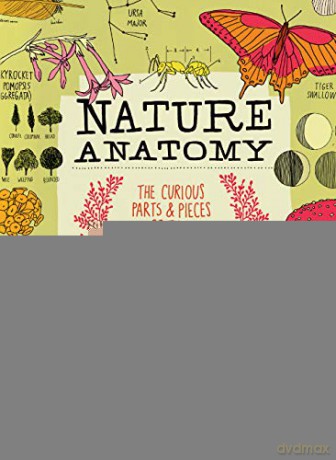 Nature Anatomy: The Curious Parts And Pieces Of The Natural World - Julia Rothman [KSIĄŻKA]