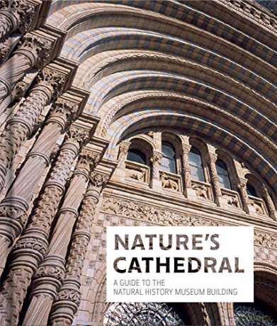 Nature's Cathedral: A celebration of the Natural History Museum Building: A Guide to the Natural History Museum Building - The Natural History Museum [KSIĄŻKA]