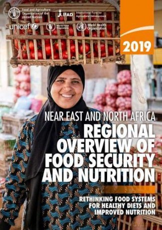 Near East and North Africa Regional Overview of Food Security and Nutrition 2019: regional overview of food security and nutrition, rethinking food systems for healthy diets and improved nutrition - Food and Agriculture Organization of the United Nations 