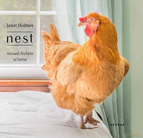 Nest: Rescued Chickens at Home - Janet Holmes [KSIĄŻKA]