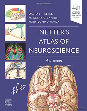 Netter's Atlas of Neuroscience (Netter Basic Science) - David L. Felten MD PhD [KSIĄŻKA]