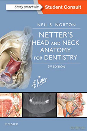 Netter's Head and Neck Anatomy for Dentistry, 3e (Netter Basic Science) - Neil S. Norton PhD [KSIĄŻKA]