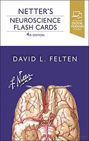 Netter's Neuroscience Flash Cards - David L. Felten MD PhD [KSIĄŻKA]