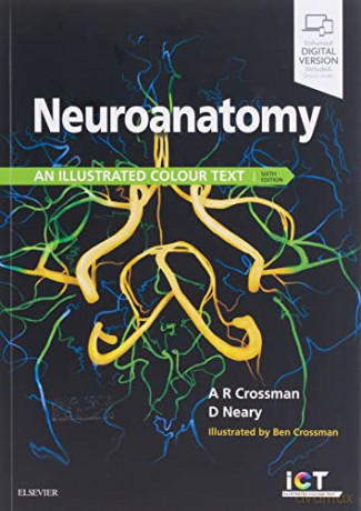 Neuroanatomy: an Illustrated Colour Text, 6e - Alan R. Crossman PhD DSc [KSIĄŻKA]