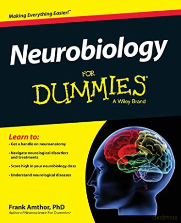 Neurobiology For Dummies - Amthor [KSIĄŻKA]