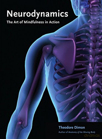 Neurodynamics: The Art of Mindfulness in Action - Theodore Dimon [KSIĄŻKA]