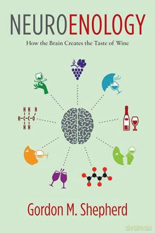 Neuroenology: How the Brain Creates the Taste of Wine - Gordon Shepherd [KSIĄŻKA]
