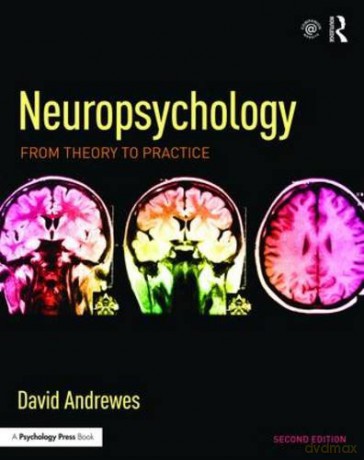 Neuropsychology: From Theory to Practice - David Andrewes [KSIĄŻKA]