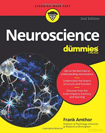 Neuroscience For Dummies, 2nd Edition - Frank Amthor [KSIĄŻKA]
