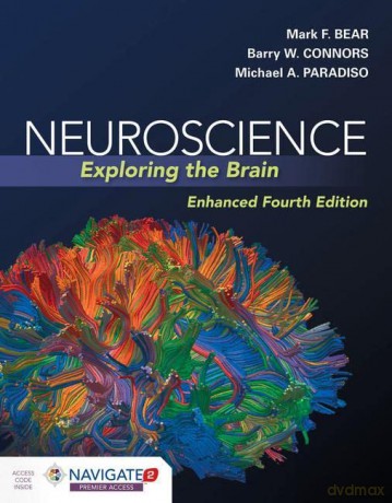 Neuroscience: Exploring The Brain, Enhanced Edition - Bear [KSIĄŻKA]