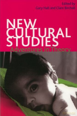New Cultural Studies: Adventures in Theory - Gary Hall [KSIĄŻKA]