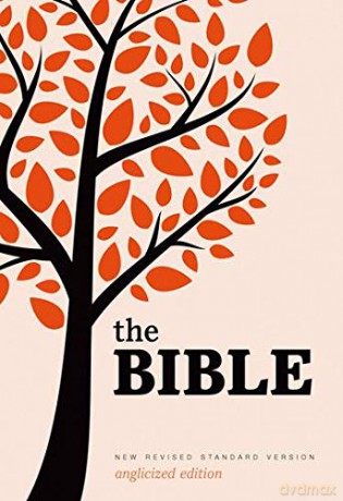 New Revised Standard Version Bible: Popular Text Edition [KSIĄŻKA]