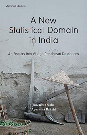 New Statistical Domain in India: An Enquiry Into Village Panchayat Databases (Agrarian Studies) - Jun-ichi Okabe [KSIĄŻKA]