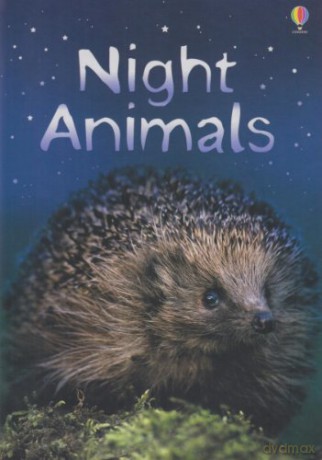 Night Animals (Usborne Beginners) - Susan Meredith [KSIĄŻKA]