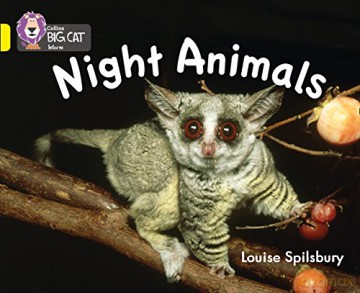 Night Animals: Band 03/Yellow (Collins Big Cat) - Louise Spilsbury [KSIĄŻKA]