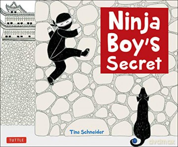 Ninja Boy's Secret - Tina Schneider [KSIĄŻKA]