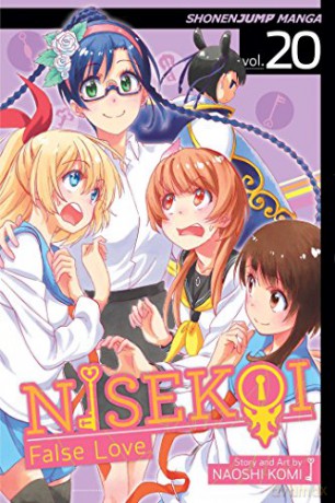 Nisekoi: False Love, Vol. 20: Order - Naoshi Komi [KSIĄŻKA]