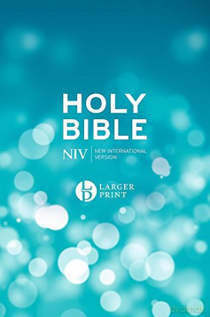 NIV Larger Print Blue Hardback Bible - New International Version [KSIĄŻKA]