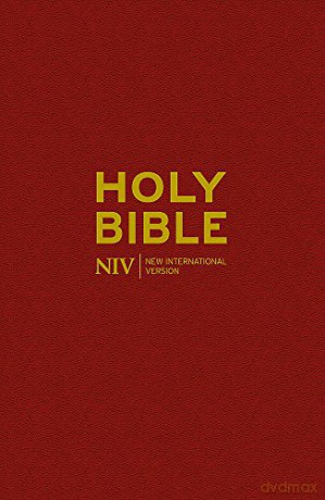 NIV Popular Bible (New International Version) - New International Version [KSIĄŻKA]