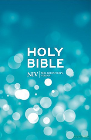 NIV Popular Hardback Bible (New International Version) - New International Version [KSIĄŻKA]