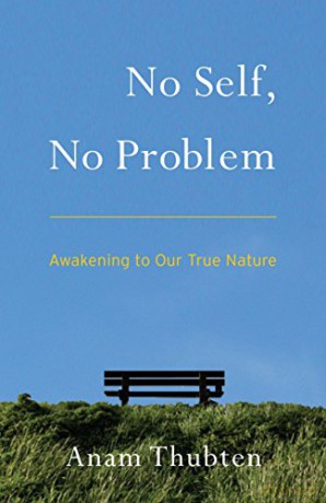 No Self, No Problem: Awakening to Our True Nature - Anam Thubten [KSIĄŻKA]