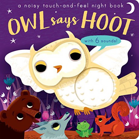 Noisy Touch-and-Feel Books Owl Says Hoot A noisy touch-and-feel night book - Amanda Enright [KSIĄŻKA]