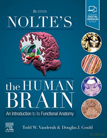 Nolte's The Human Brain: An Introduction to its Functional Anatomy - Todd Vanderah PhD [KSIĄŻKA]