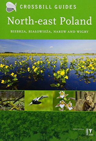 North-East Poland: Biebrza, Bialowieza and Wigry (Crossbill Guides) (Crossbill guides, 13) - Bouke Ten Cate [KSIĄŻKA]