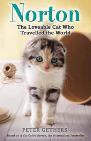 Norton, The Loveable Cat Who Travelled the World - Peter Gethers [KSIĄŻKA]
