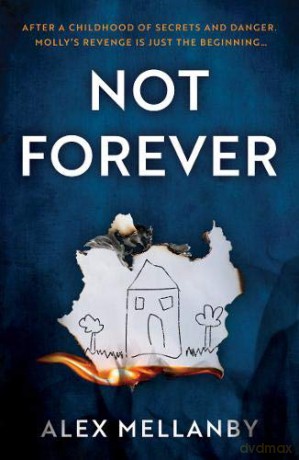 Not Forever - Alex Mellanby [KSIĄŻKA]