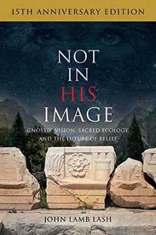 Not in His Image (15th Anniversary Edition): Gnostic Vision, Sacred Ecology, and the Future of Belief - Lash [KSIĄŻKA]