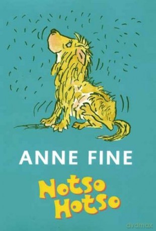 Notso Hotso - Anne Fine [KSIĄŻKA]