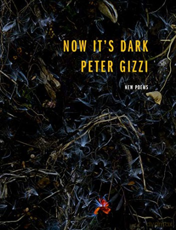 Now It's Dark (Wesleyan Poetry Series) - Peter Gizzi [KSIĄŻKA]