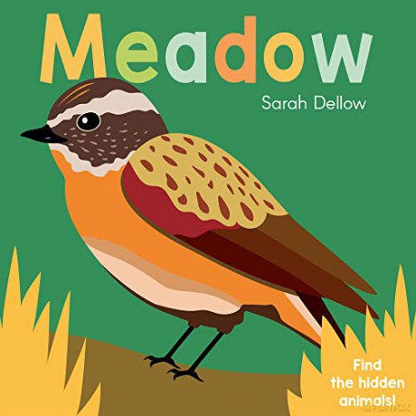 Now you See It! Meadow: 4 (Now You See It!, 4) - Sarah Dellow [KSIĄŻKA]
