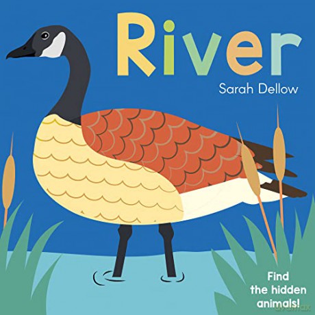 Now you See It! River: 4 (Now You See It!, 4) - Sarah Dellow [KSIĄŻKA]