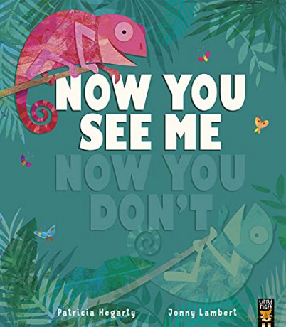 Now You See Me, Now You Don't - Patricia Hegarty [KSIĄŻKA]