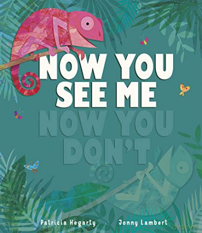 Now You See Me, Now You Don't - Patricia Hegarty [KSIĄŻKA]