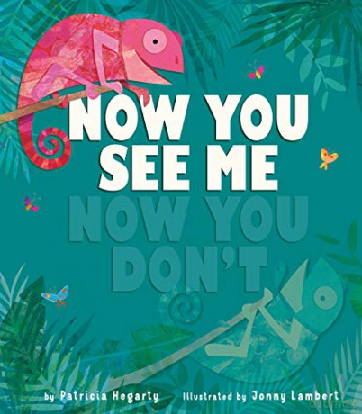 Now You See Me, Now You Don't - Patricia Hegarty [KSIĄŻKA]