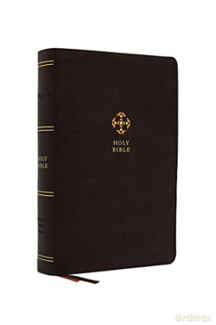 NRSV, Catholic Bible, Journal Edition, Leathersoft, Brown, Comfort Print: Holy Bible - Catholic Bible Press [KSIĄŻKA]