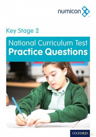 Numicon: Key Stage 2 National Curriculum Test Practice Questions (Numicon Assessment) - Adella Osborne [KSIĄŻKA]